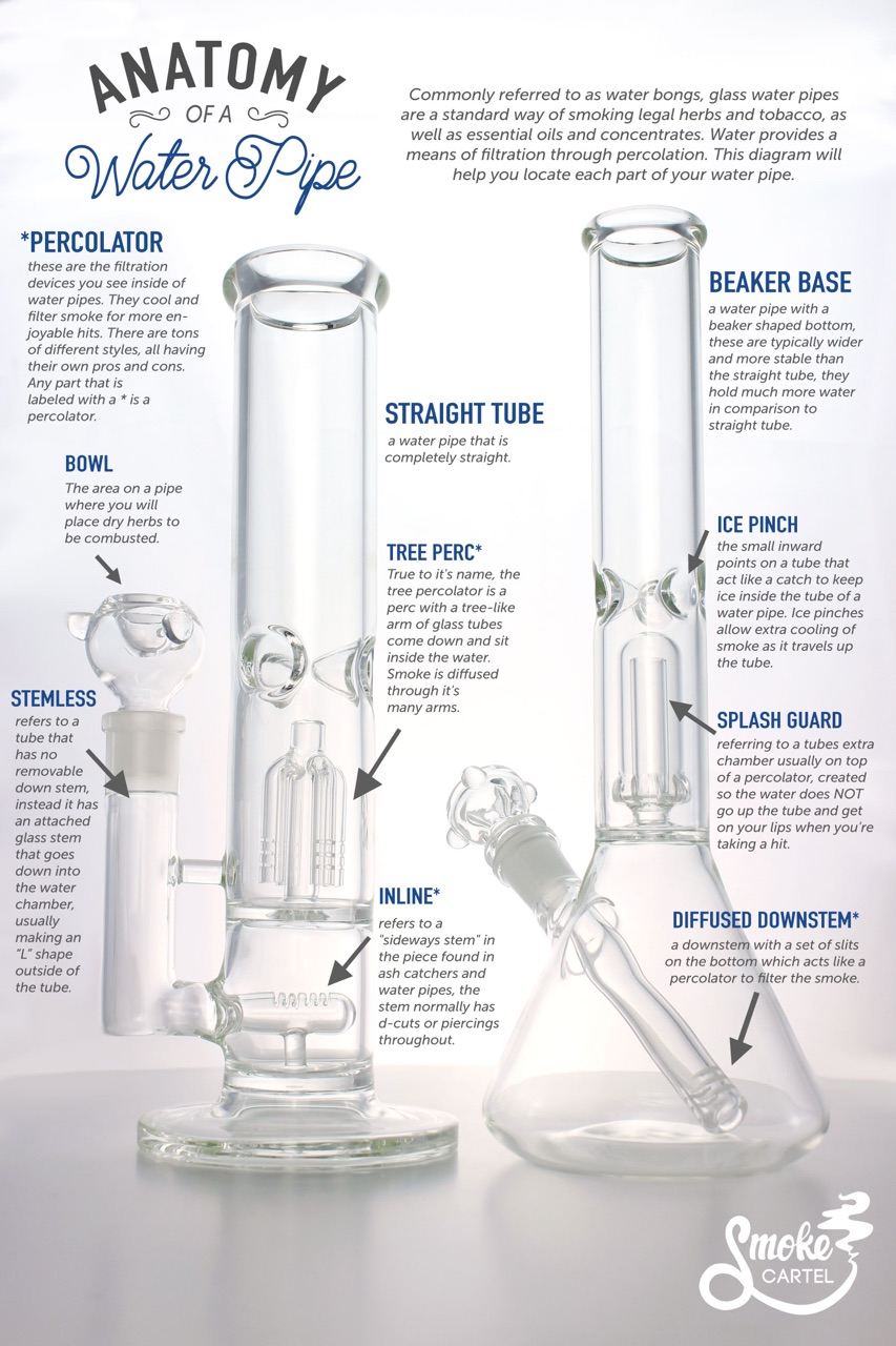 How Does a Bong Work? A Guide to Water Pipes
