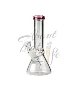 Small Beaker Bong 8"